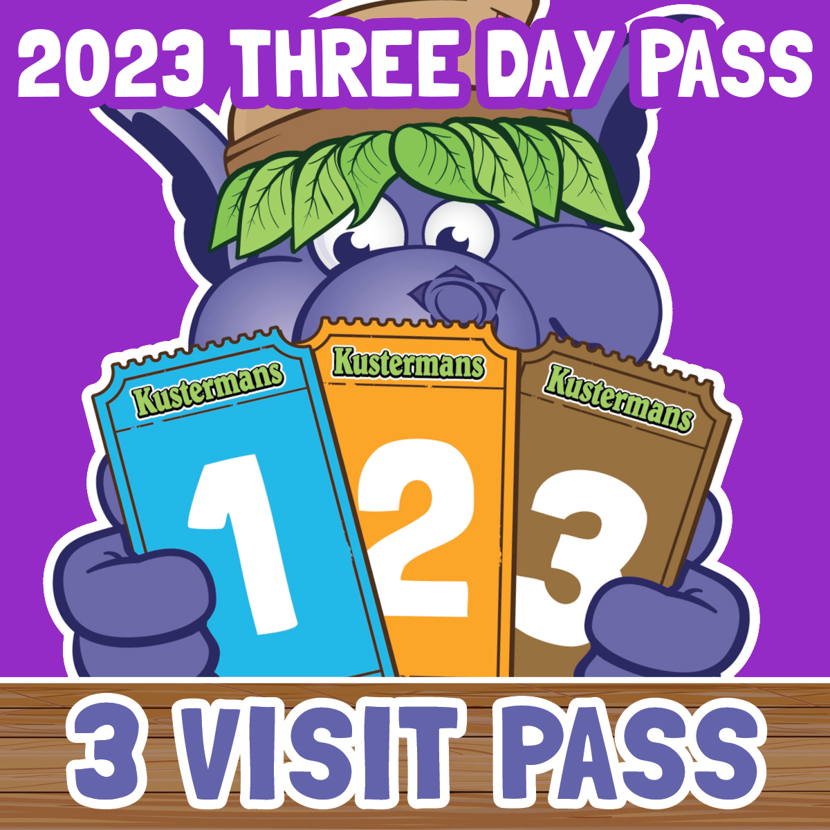 3-Pass Visit 2023